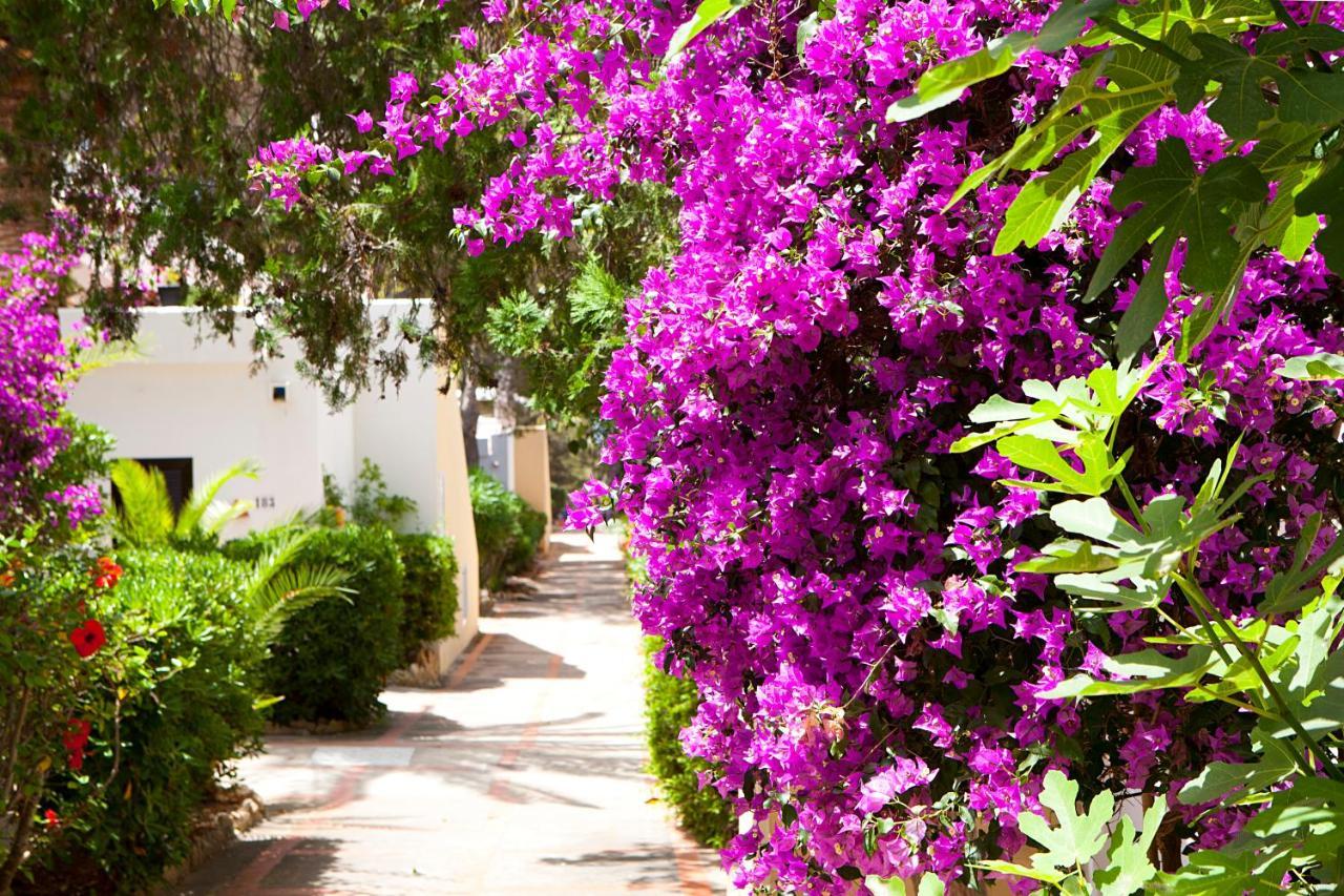 Apartamentos Club Cala Azul Sant Carles de Peralta Εξωτερικό φωτογραφία